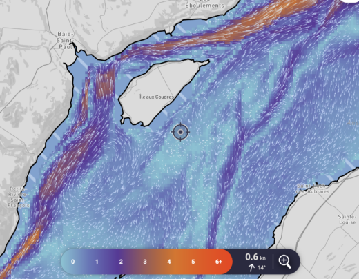 Les courants en temps réel de l'application Nautilo.